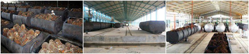 fruit receiving station of palm oil mill