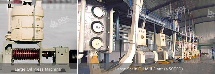 large scale palm kernel oil machine and processing plant