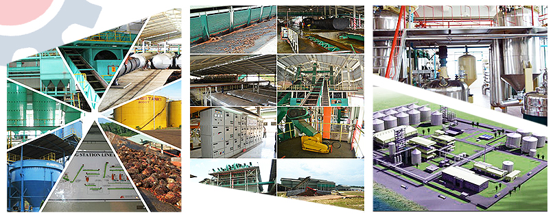 palm oil mill plants with customized porudction process