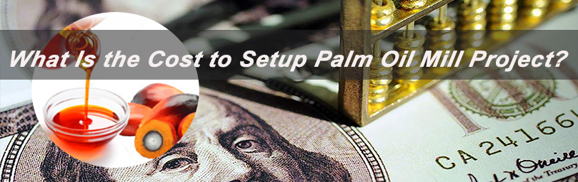 How to Make Project Cost Budget for Palm Oil Processing Business Setup?