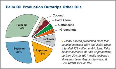 market of palm oil processing