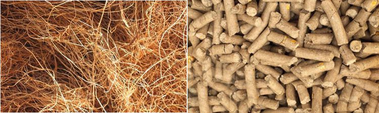 mesocarp fibres to animal feeds