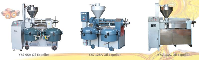 small palm kernel oil production machines at wholesales price
