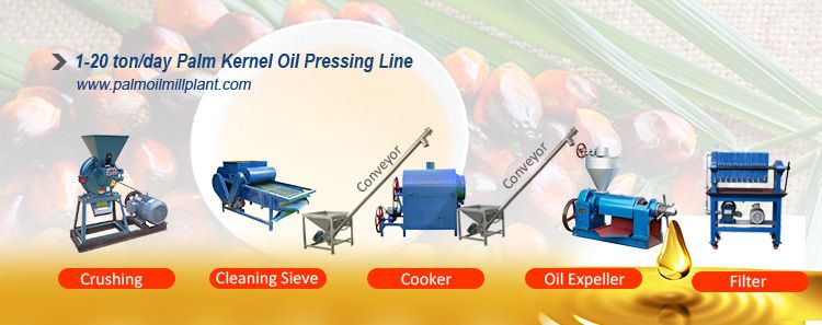 mini palm kernel oil processing plant Malaysia