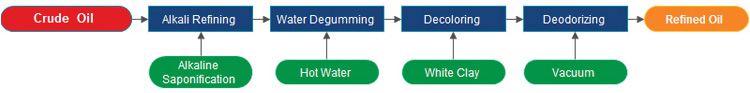 mini palm oil refinery process