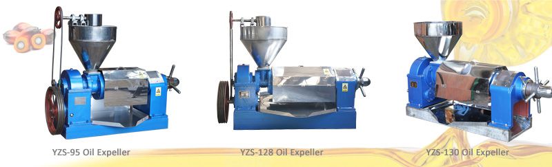 mini palm kernel oil pressing machine for sales