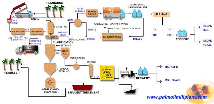 palm oil milling process