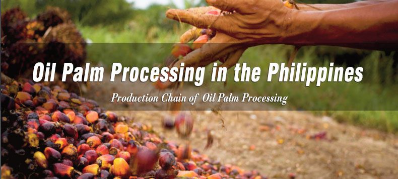 oil palm processing in the Philippines