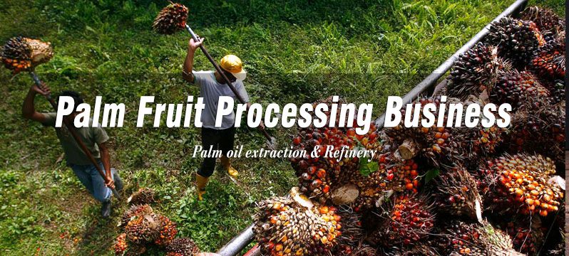 palm fruit processing business