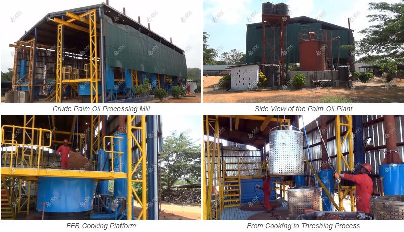 palm fruit processing plant project