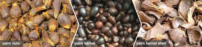 Palm Kernel Cracking Process