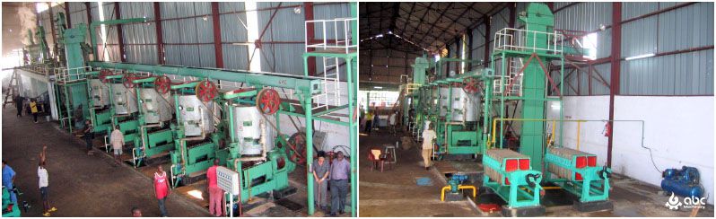 palm kernel crushing and processing plant