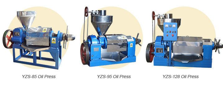 palm kernel oil expeller machine Malaysia