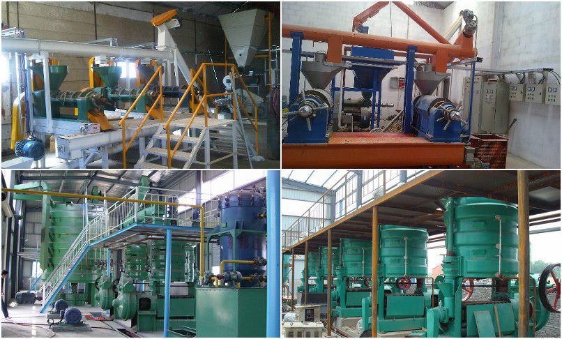 palm kernel oil expeller machines at low cost