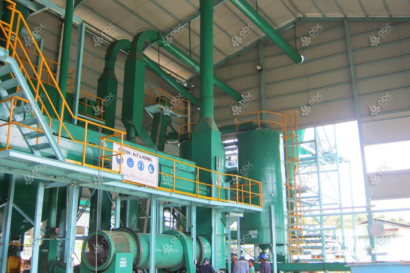 quality palm kernel oil extraction machine at factory price 
