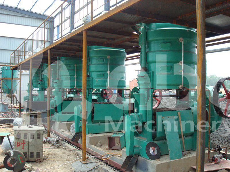 palm kernel oil extraction machines
