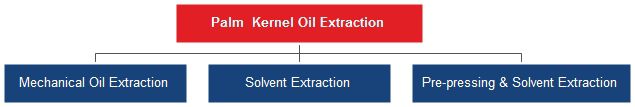 palm kernel oil extraction plant