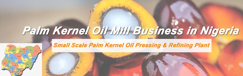 start palm kernel oil mill business in Nigeria
