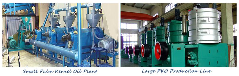 palm kenerl oil pressing lines