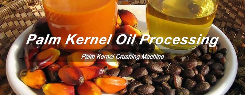 palm kernel oil processing business plan