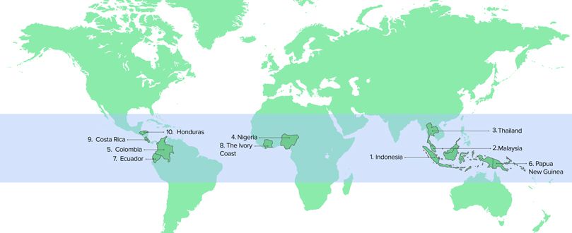 Palm Kernel Oil Producers