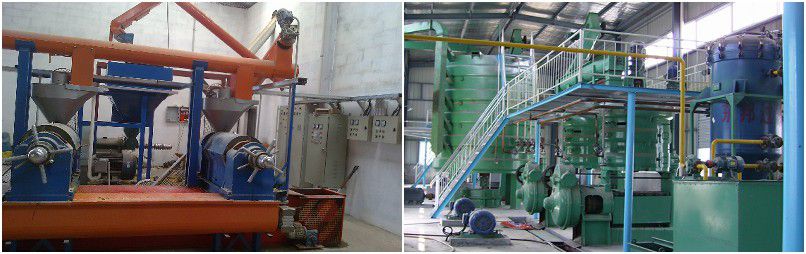 small and large palm kernel oil processing projects