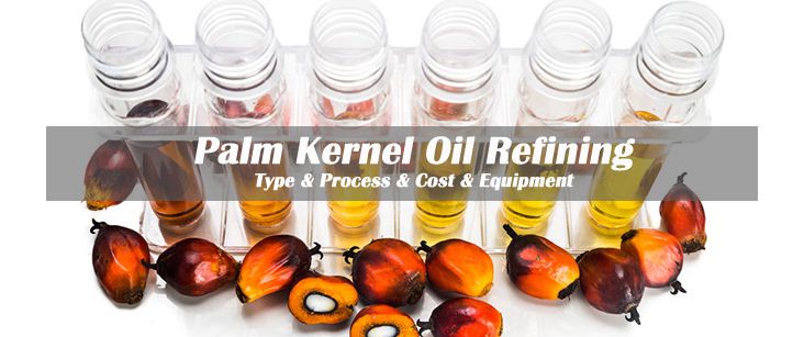 palm kernel oil reifning business