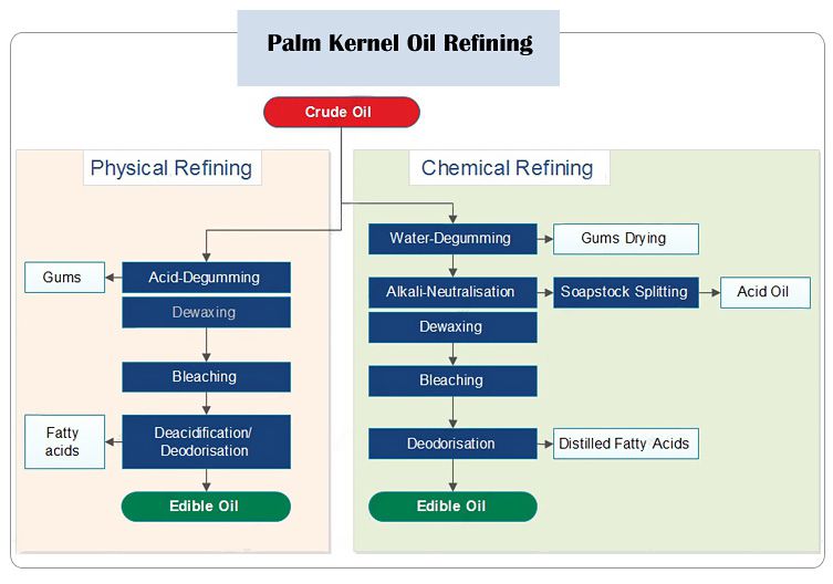 palm kernel oil refining process