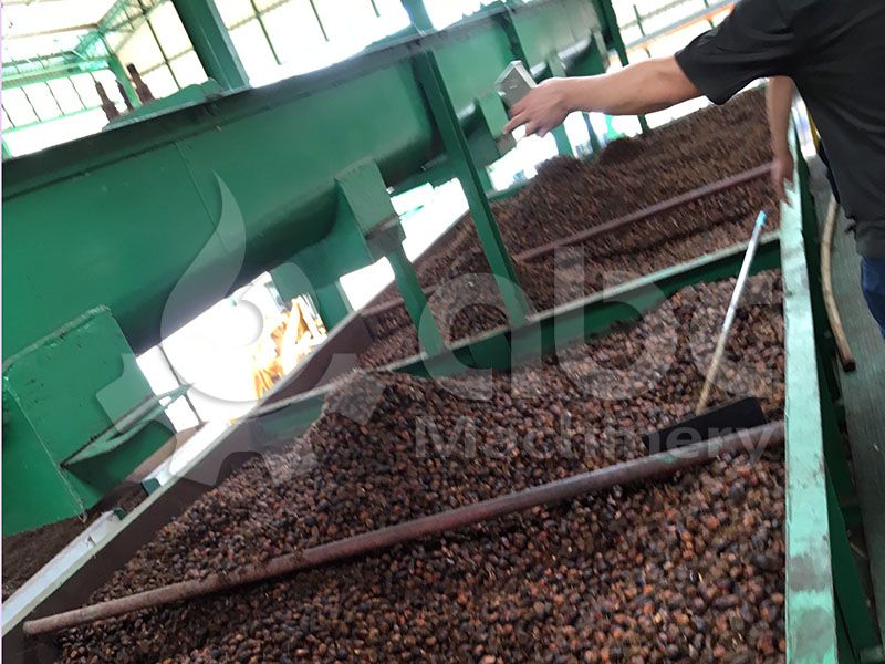 palm kernel recovery system