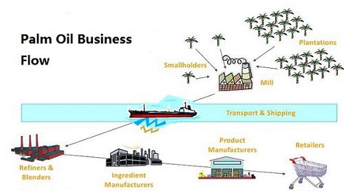 palm oil business flow