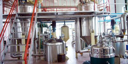 palm oil degumming process