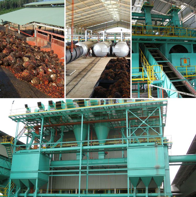 palm oil extracting factory