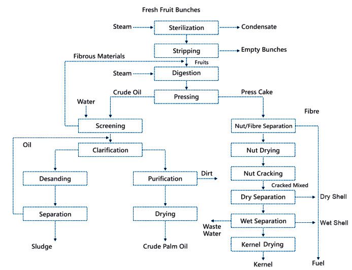 palm oil extraction process