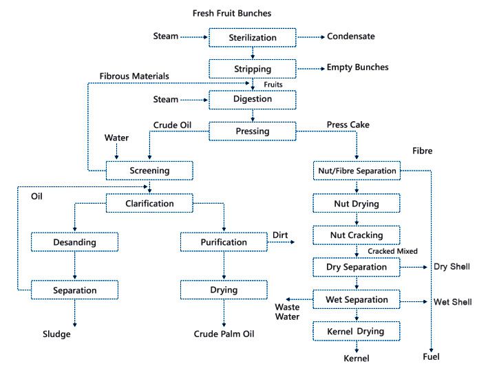 palm oil extraction process