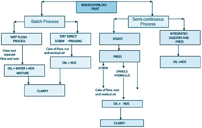 palm oil extraction types