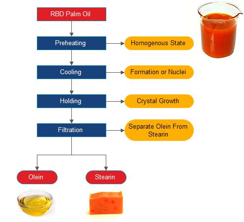 Processing of palm oil, palm kernel oil and fractionation process.