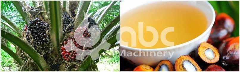 palm oil refinery manufacturer for high quality palm oil with manufacturing cost