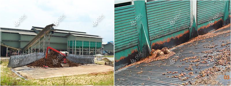 palm oil machinery supplier