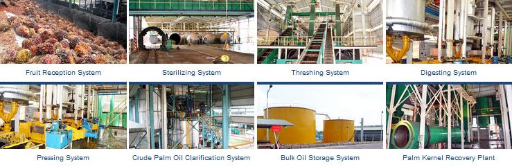 Manufacturing Crude palm kernel oil refinery processing machine