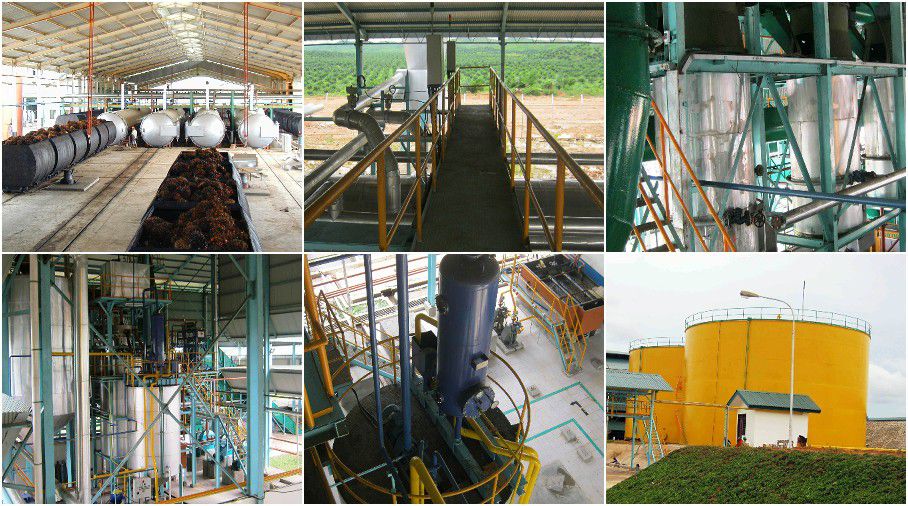 BEST palm oil making machines for sales