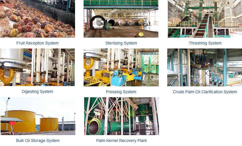 palm oil manufacturing equipment for producing edible palm oil