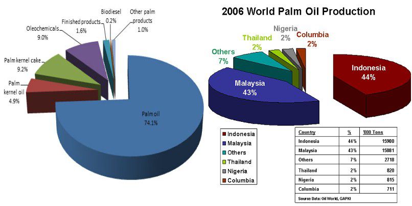 palm oil milling machine process and main palm oil producers with palm oil mill machinery