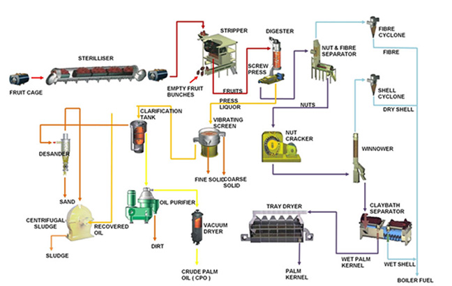 customized layout of palm oil refinery plant for efficient palm oil processing 