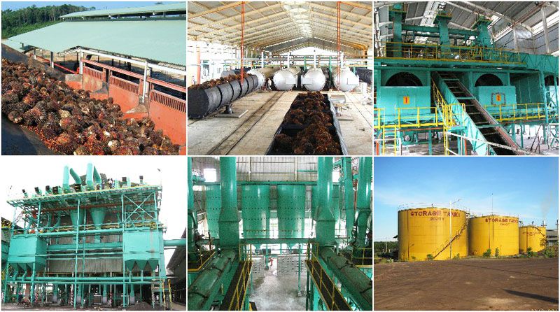 large scale palm oil mill plant for sale