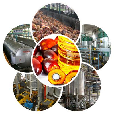 palm oil mill plant