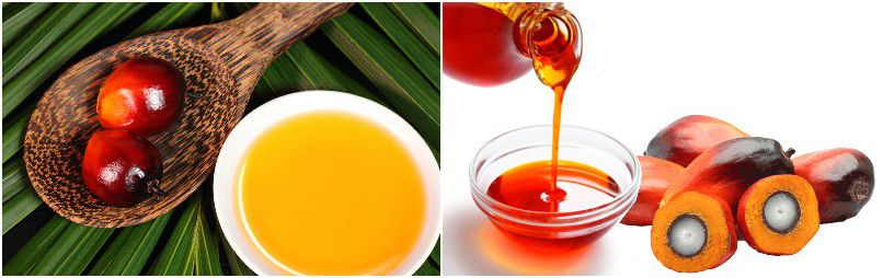 palm oil produced by successful palm oil mill design 