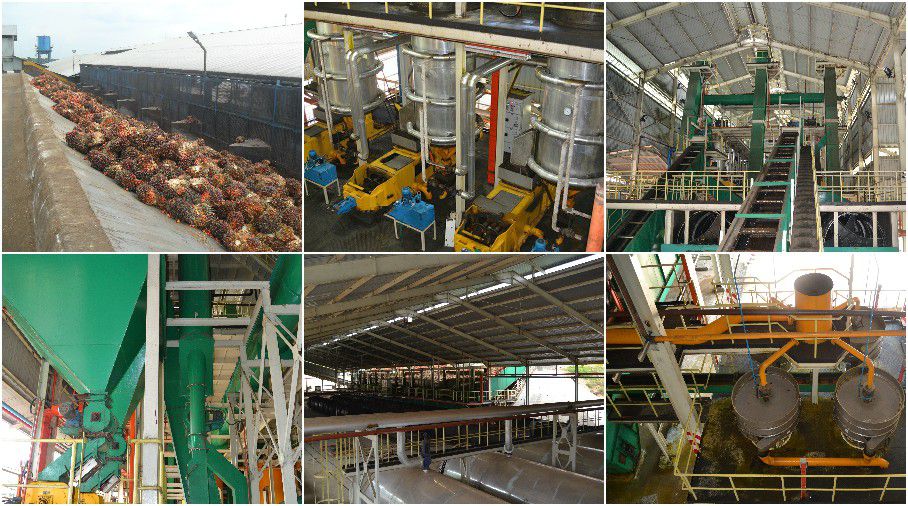 high efficient palm oil mill design - the most important factor for palm oil mill plant