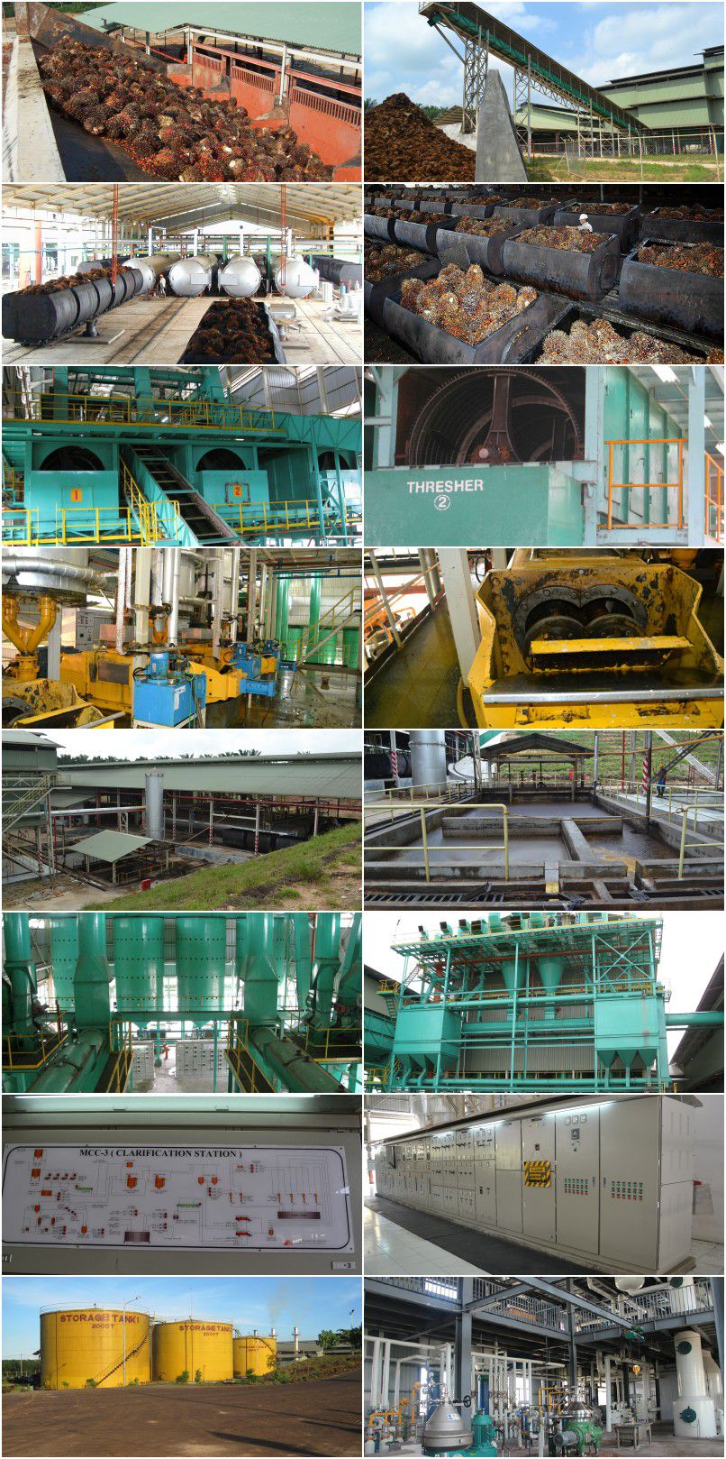 palm oil milling plant