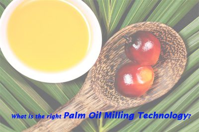 what is the right palm oil milling for palm oil process