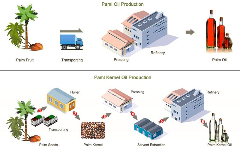 palm oil and palm kernel oil production
